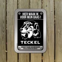 Teckel korthaar of Dashund — foto 1