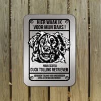 Nova Scotia Duck Tolling retriever — foto 1