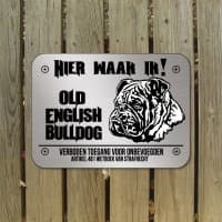 Old English Bulldog — foto 1